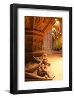 The Font in Basel Munster(Minster) Cathedral, Basel, Switzerland, Europe-Julian Elliott-Framed Photographic Print