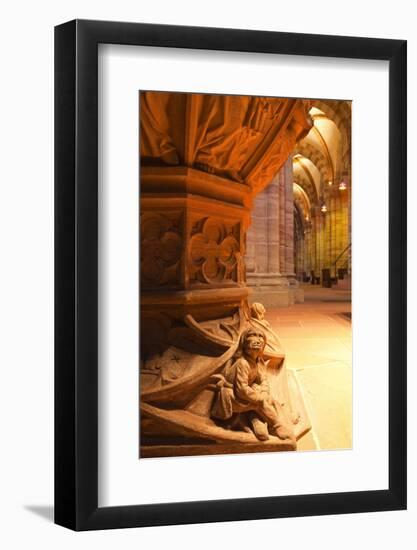 The Font in Basel Munster(Minster) Cathedral, Basel, Switzerland, Europe-Julian Elliott-Framed Photographic Print