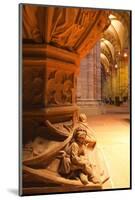 The Font in Basel Munster(Minster) Cathedral, Basel, Switzerland, Europe-Julian Elliott-Mounted Photographic Print