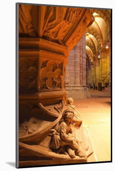 The Font in Basel Munster(Minster) Cathedral, Basel, Switzerland, Europe-Julian Elliott-Mounted Photographic Print