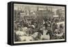 The Food Supply of Paris, Butchers' Horse Market, Boulevard D'Enfer and Boulevard Montrouge-Harrison William Weir-Framed Stretched Canvas