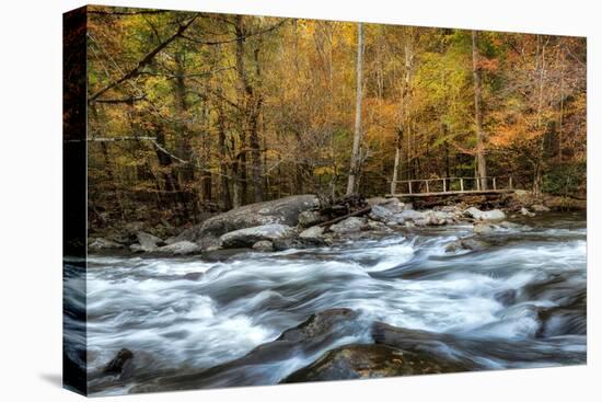 The Foot Bridge-Danny Head-Stretched Canvas