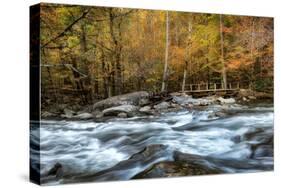 The Foot Bridge-Danny Head-Stretched Canvas