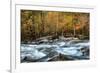 The Foot Bridge-Danny Head-Framed Photographic Print