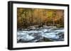 The Foot Bridge-Danny Head-Framed Photographic Print