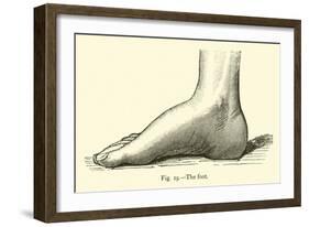 The Foot-Leveille-Framed Giclee Print