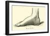 The Foot-Leveille-Framed Giclee Print