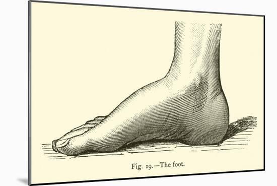 The Foot-Leveille-Mounted Giclee Print