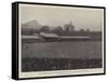 The Football Association Challenge Cup Final Tie at the Crystal Palace, the Kick Off-null-Framed Stretched Canvas