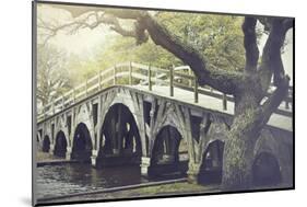 The Footbridge in Corolla, North Carolina is on the National Register of Historic Places.-pdb1-Mounted Photographic Print