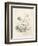 The Fop, C1917-Hugh Thomson-Framed Giclee Print