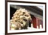 The Forbidden City (Zijin Cheng), Beijing, China, Asia-Angelo Cavalli-Framed Photographic Print