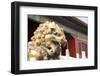 The Forbidden City (Zijin Cheng), Beijing, China, Asia-Angelo Cavalli-Framed Photographic Print