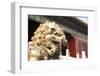 The Forbidden City (Zijin Cheng), Beijing, China, Asia-Angelo Cavalli-Framed Photographic Print