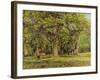 The Forest, 1870-Camille Pissarro-Framed Giclee Print