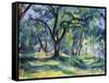 The Forest, 1891 (Oil on Canvas)-Paul Cezanne-Framed Stretched Canvas