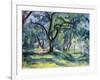 The Forest, 1891 (Oil on Canvas)-Paul Cezanne-Framed Giclee Print