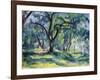 The Forest, 1891 (Oil on Canvas)-Paul Cezanne-Framed Giclee Print