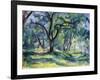 The Forest, 1891 (Oil on Canvas)-Paul Cezanne-Framed Giclee Print