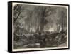 The Forest Ablaze and the Graves Opened at Paris-null-Framed Stretched Canvas