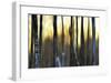 The Forest at Dawn-Marvin Pelkey-Framed Giclee Print