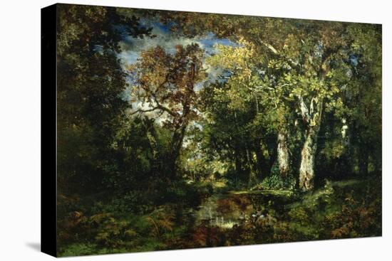 The Forest at Fontainebleau, 1870-Narcisse Virgile Diaz de la Pena-Stretched Canvas