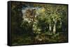 The Forest at Fontainebleau, 1870-Narcisse Virgile Diaz de la Pena-Framed Stretched Canvas