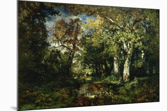 The Forest at Fontainebleau, 1870-Narcisse Virgile Diaz de la Pena-Mounted Premium Giclee Print