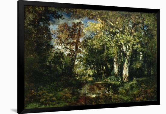 The Forest at Fontainebleau, 1870-Narcisse Virgile Diaz de la Pena-Framed Giclee Print