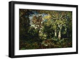 The Forest at Fontainebleau, 1870-Narcisse Virgile Diaz de la Pena-Framed Giclee Print