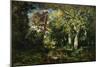 The Forest at Fontainebleau, 1870-Narcisse Virgile Diaz de la Pena-Mounted Giclee Print