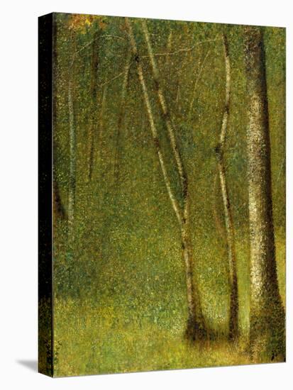 The Forest at Pontaubert, 1881-Georges Pierre Seurat-Stretched Canvas