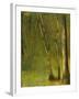 The Forest at Pontaubert, 1881-Georges Pierre Seurat-Framed Giclee Print