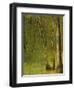 The Forest at Pontaubert, 1881-Georges Pierre Seurat-Framed Giclee Print