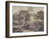 The Forest (Copy of Painting in the Museum of Douai)-null-Framed Giclee Print