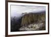 The Forest of Valdoniello, Corsica, 1869-Edward Lear-Framed Giclee Print