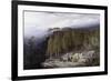 The Forest of Valdoniello, Corsica, 1869-Edward Lear-Framed Giclee Print