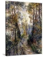 The Forest Path, 1871-Pierre-Auguste Renoir-Stretched Canvas