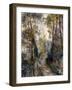 The Forest Path, 1871-Pierre-Auguste Renoir-Framed Giclee Print