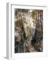 The Forest Path, 1871-Pierre-Auguste Renoir-Framed Giclee Print