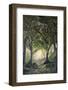 The Forest Path-EMELIEmaria-Framed Photographic Print