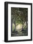 The Forest Path-EMELIEmaria-Framed Photographic Print