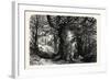 The Forest Scenery of Great Britain: Burnham Beeches, UK-null-Framed Giclee Print