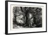 The Forest Scenery of Great Britain: Burnham Beeches, UK-null-Framed Giclee Print