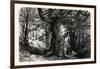 The Forest Scenery of Great Britain: Burnham Beeches, UK-null-Framed Giclee Print