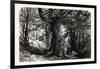 The Forest Scenery of Great Britain: Burnham Beeches, UK-null-Framed Giclee Print