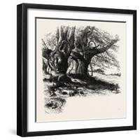 The Forest Scenery of Great Britain: Burnham Beeches, UK-null-Framed Giclee Print