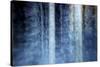 The Forest-Kostas Barbadimos-Stretched Canvas