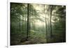 The Forest-Philippe Manguin-Framed Photographic Print