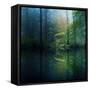 The Forest-Adelino Gon?alves-Framed Stretched Canvas